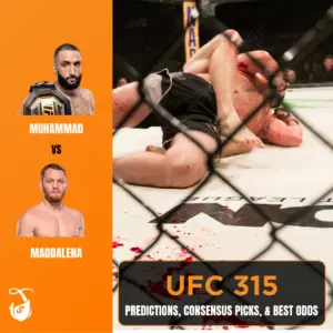 UFC 315 Predictions, Consensus Picks, and Best Odds